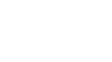 Fluxus Executor